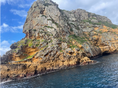Poor Knights Island