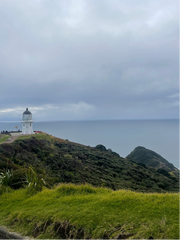 Cape Reinga 