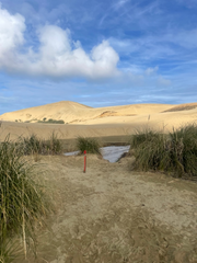 Te Paki Sand Dunes