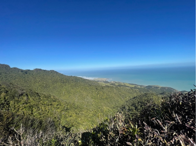 Coastal view of an ocean